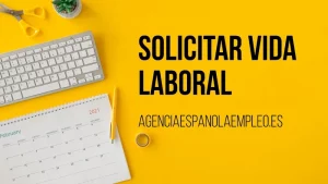 Accede ahora para descubrir los días cotizados que tienes acumulados en tu vida laboral para poder solicitar una pensión, prestación o ayuda.